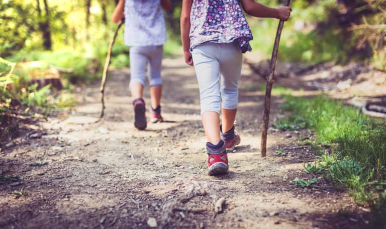 Kinder spazieren im Wald